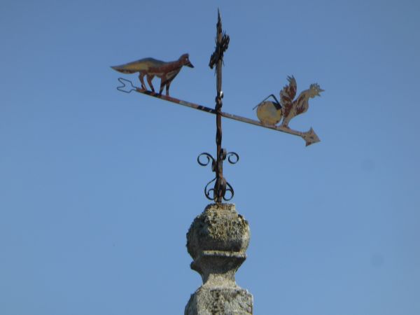 Le renard et le coq