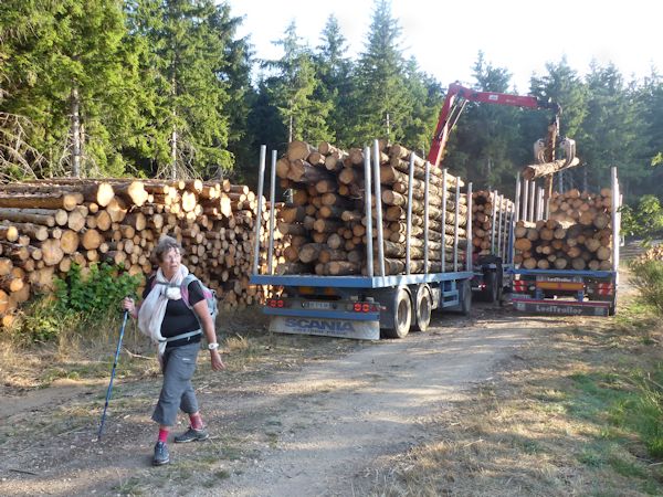 Chargement de bois