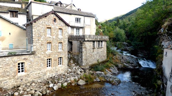 Le bois du Lozere