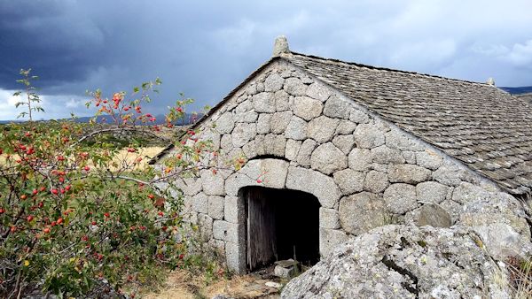 Le bois du Lozere