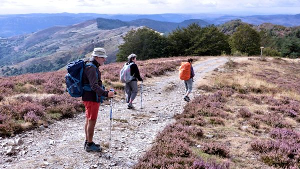 Sentier sur la crête