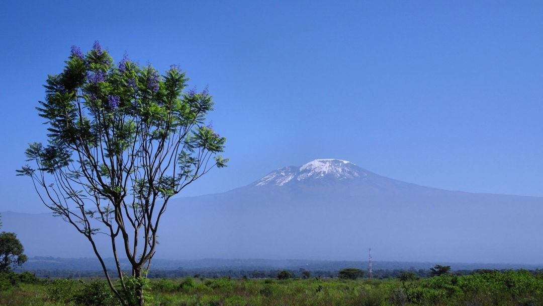 Vue du Kilimandjaro