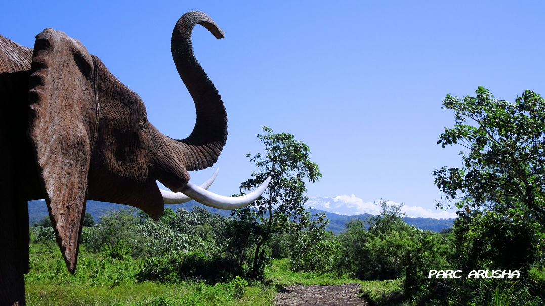 Elephant géant d'Arusha