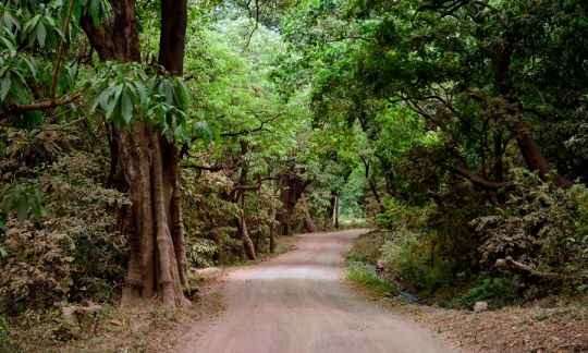 Piste du Manyara