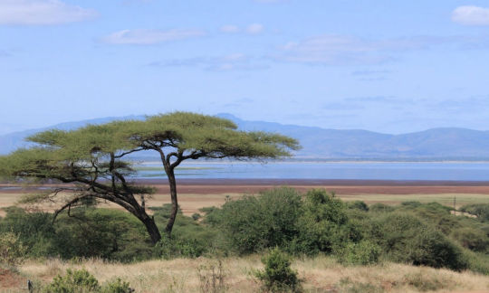 Lac du Manyara