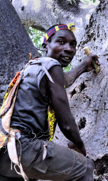 Ascension du Baobab Chef