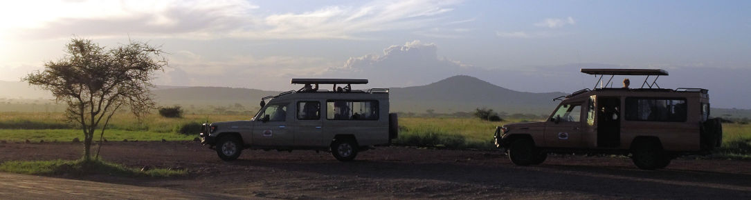 Serengeti à l'aube