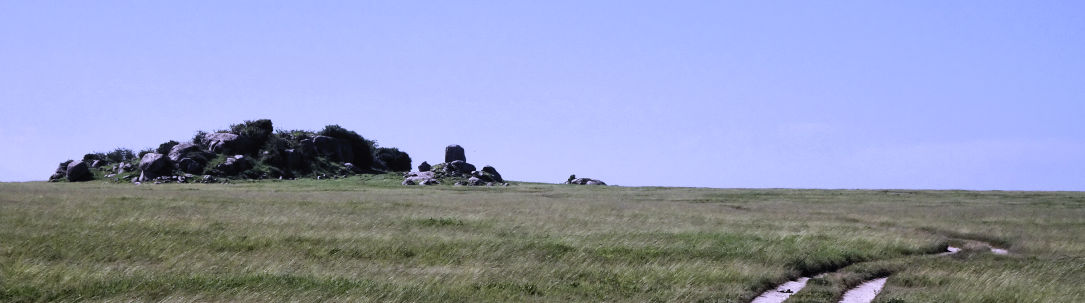 Paysage du Serengeti