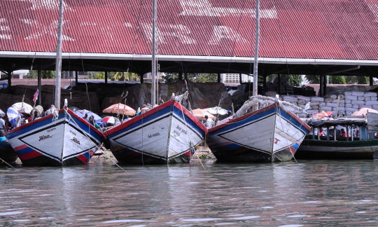 Bateaux de pêche