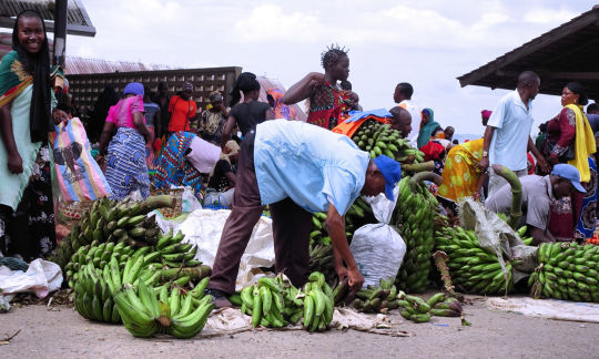 Bananes