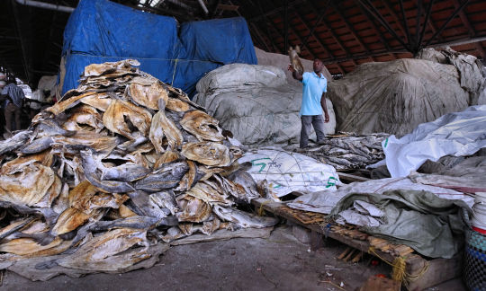 Poissons séchés