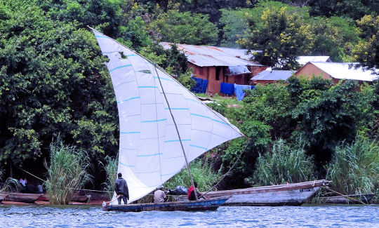 Dhow entoilée