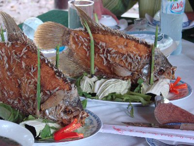 Schage des galette de riz