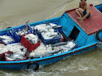 Nhatrang retour de pêche