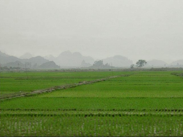 Fin d'aprs-midi Paysage (2) vu du train