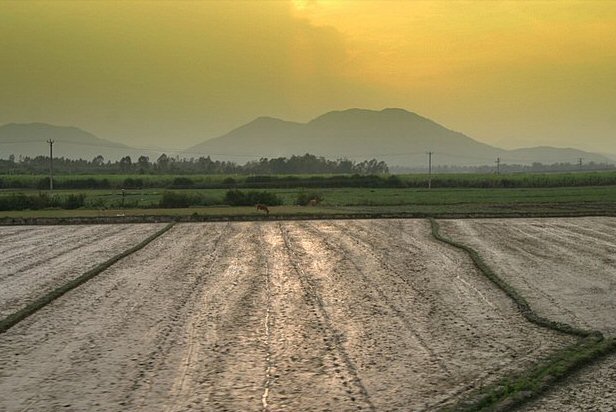 Paysage vu du train, en soirée