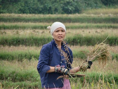 Jeune femme avec du riz coup